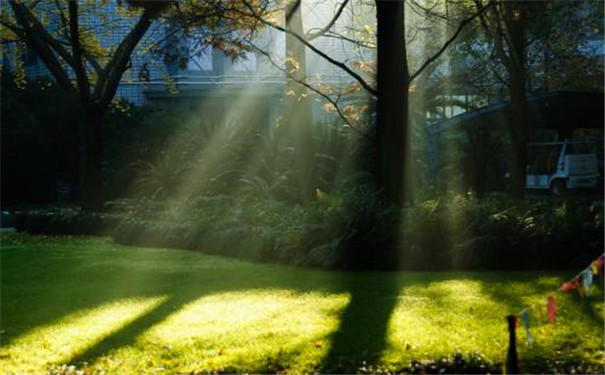 大氣網格化空氣監(jiān)測站