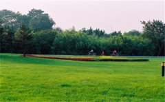 網(wǎng)絡(luò)化空氣監(jiān)測(cè)站監(jiān)測(cè)哪些參數(shù)？